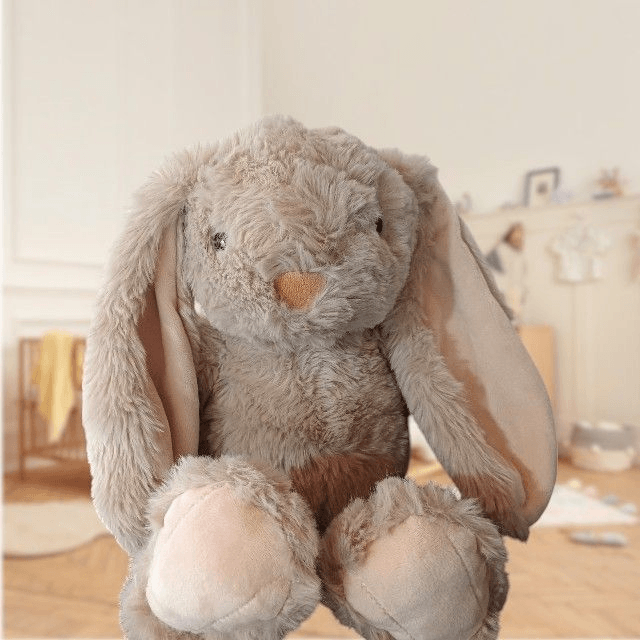 Lapins personnalisés 